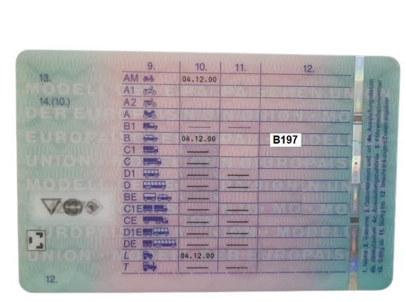 B197 Driving License