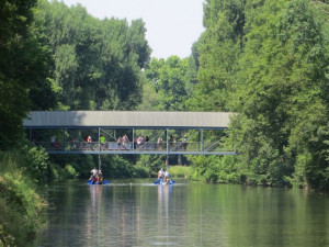 Dragon Boat 2015 (15)