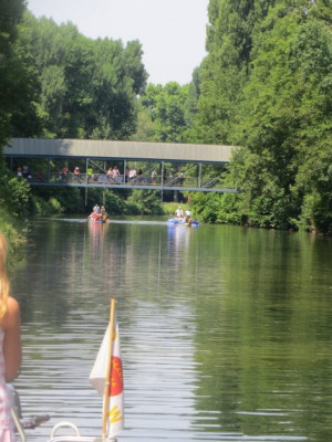 Dragon Boat 2015 (16)