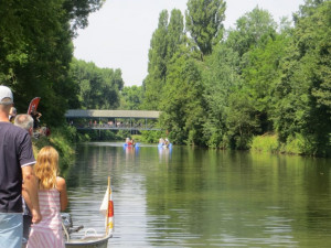 Dragon Boat 2015 (17)