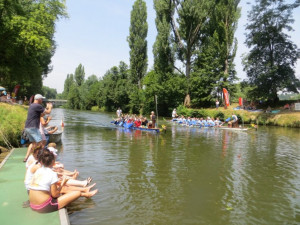 Dragon Boat 2015 (20)