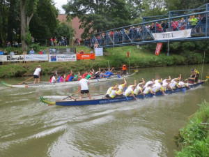 Dragon Boat 2016 (27)