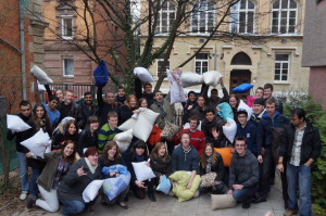 Pillow 2013 (12)
