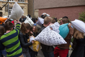 Pillow 2013 (171)