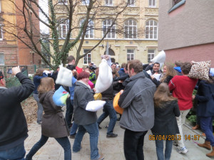Pillow 2013 (23)