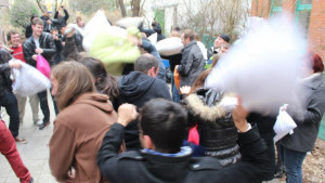 Pillow 2013 (4)