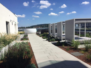 Rooftop 2018 (57)