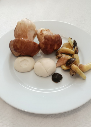 Stuttgart Mushroom Picking 2019 22
