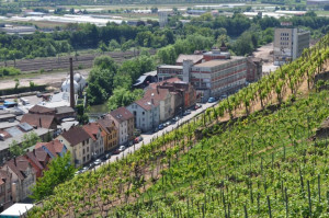 Wine Walk 2012 (19)