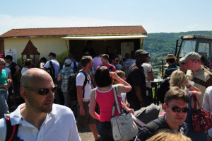 Wine Walk 2012 (38)
