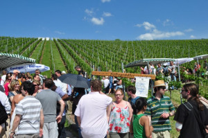 Wine Walk 2012 (42)
