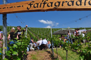 Wine Walk 2012 (48)