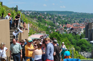Wine Walk 2012 (9)