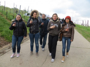Wine Walk 2013 (16)