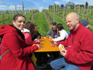 Wine Walk 2013 (6)