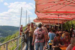 Wine Walk 2014 (17)