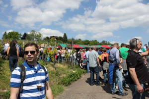 Wine Walk 2014 (18)