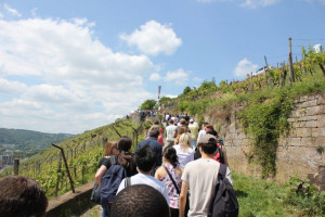 Wine Walk 2014 (7)