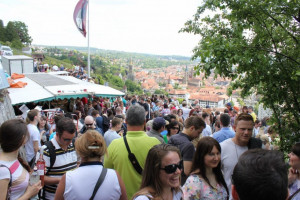 Wine Walk 2014 (8)
