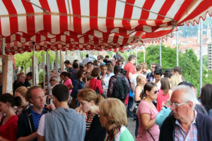Wine Walk 2015 (30)
