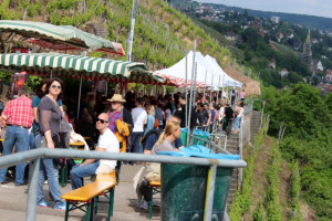 Wine Walk 2015 (34)