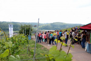 Wine Walk 2015 (38)