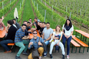Wine Walk 2015 (57)