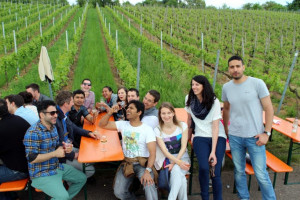 Wine Walk 2015 (59)
