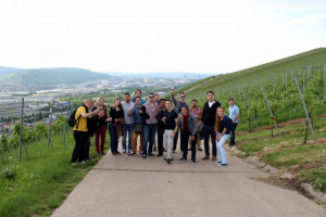 Wine Walk 2015 (64)