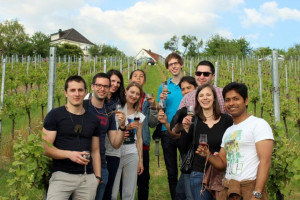 Wine Walk 2015 (67)