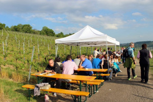 Wine Walk 2015 (69)