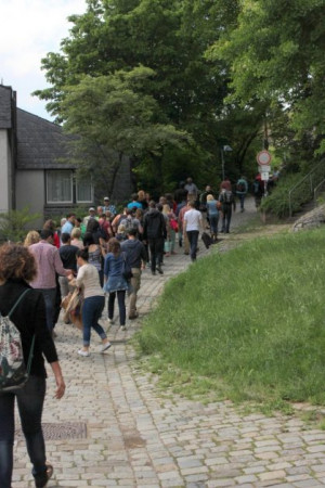 Wine Walk 2015 (8)