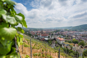 Wine Walk 2019 (4)