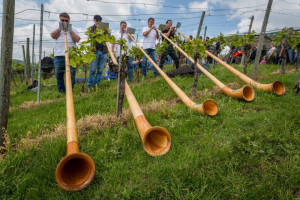Wine Walk 2019 (6)