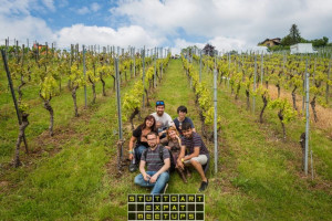 Wine Walk 2019 (8)